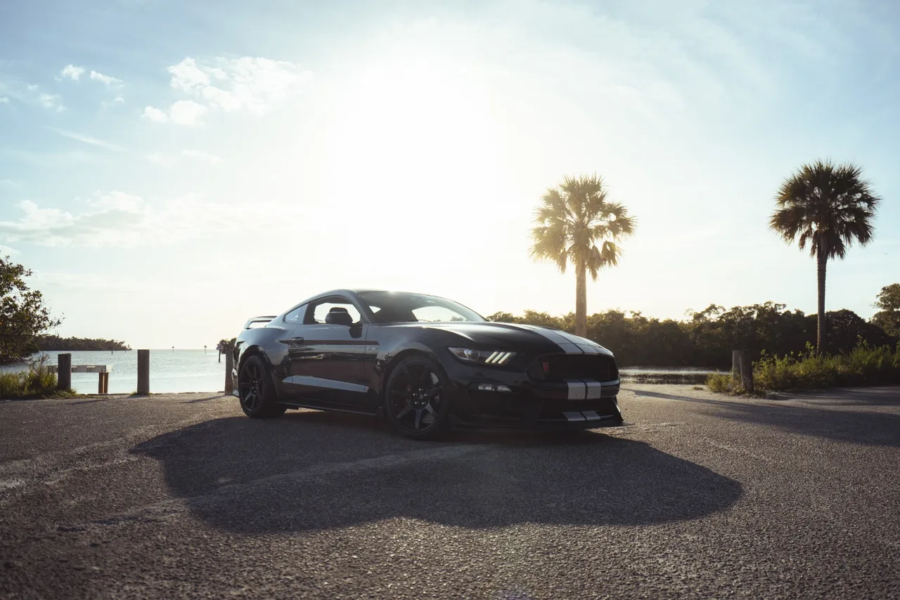Ford Mustang Shelby GT350R
