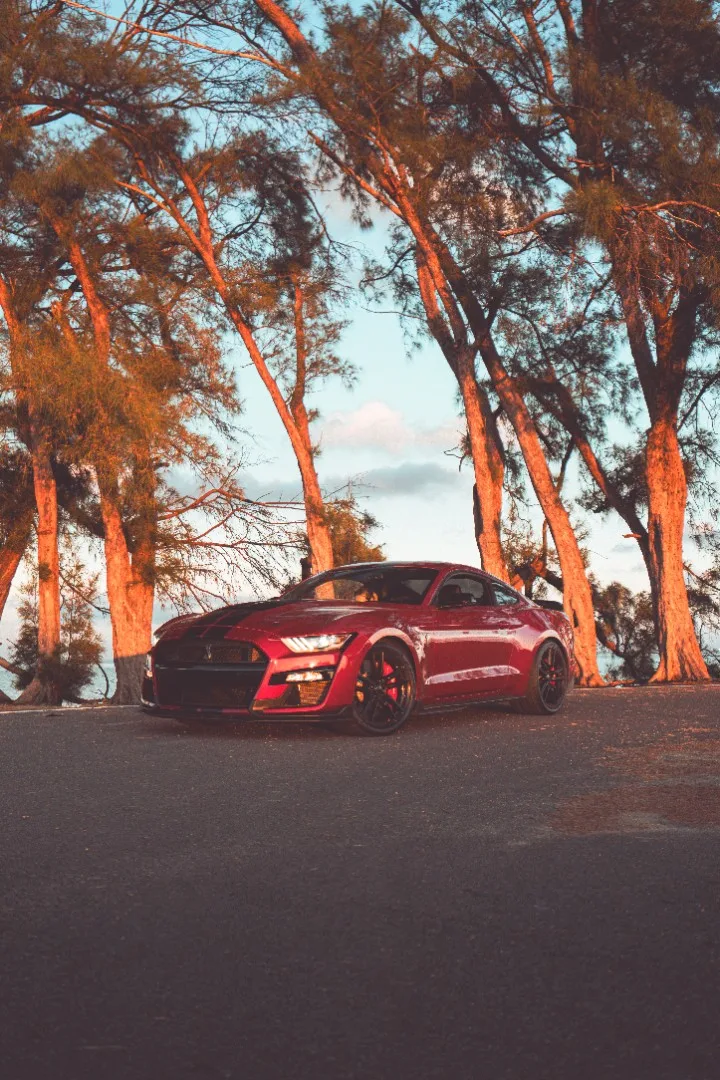 Ford Mustang Shelby GT500