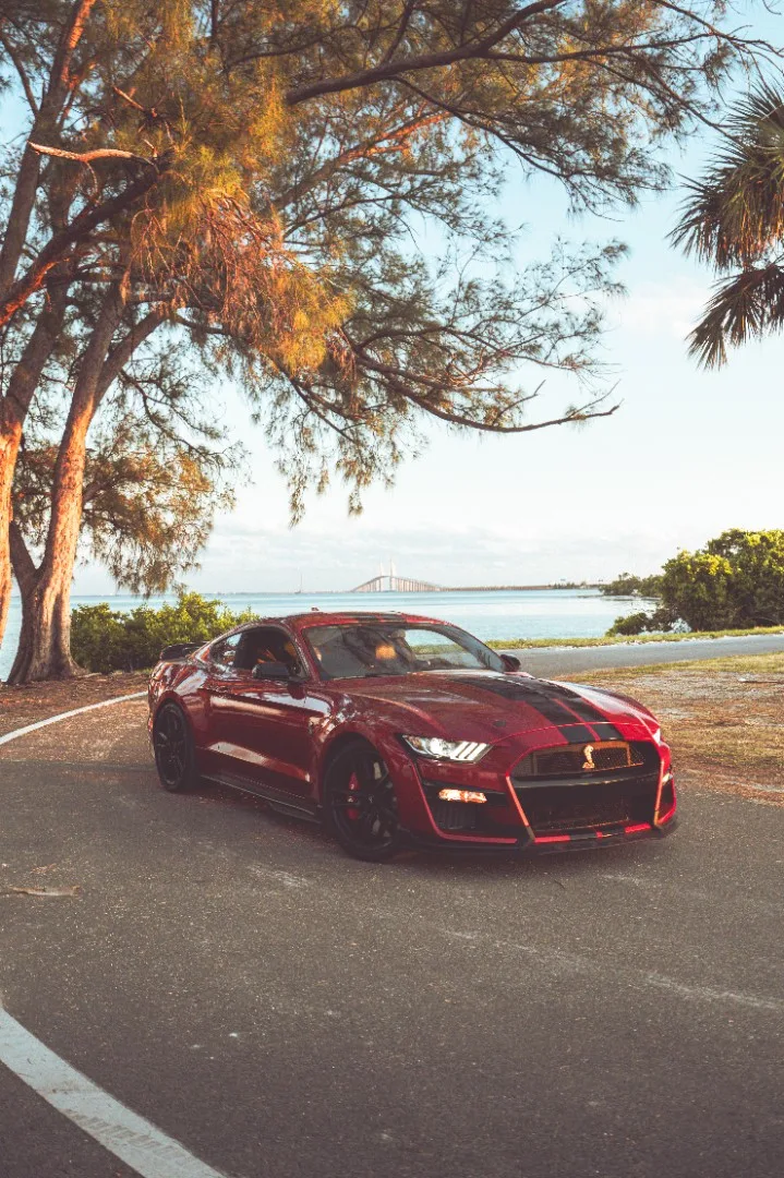 Ford Mustang Shelby GT500